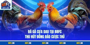 Đá Gà Cựa Dao Tại 88FC Thu Hút Đông Đảo Cược Thủ