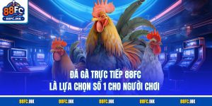 Đá Gà Trực Tiếp 88FC Là Lựa Chọn Số 1 Cho Người Chơi 