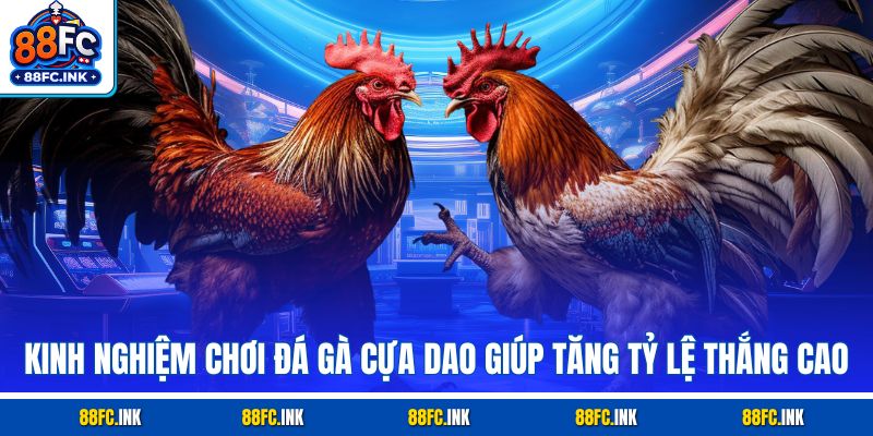 Kinh nghiệm chơi đá gà cựa dao giúp tăng tỷ lệ thắng cao